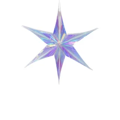 Small Iridescent Star Ornament< Best