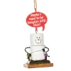 Smores Pun Naughty & Nice Ornament< Best