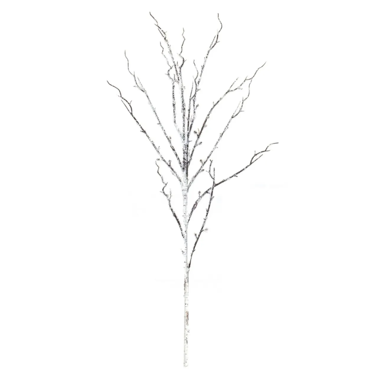 Snowy Birch Branch< Fashion