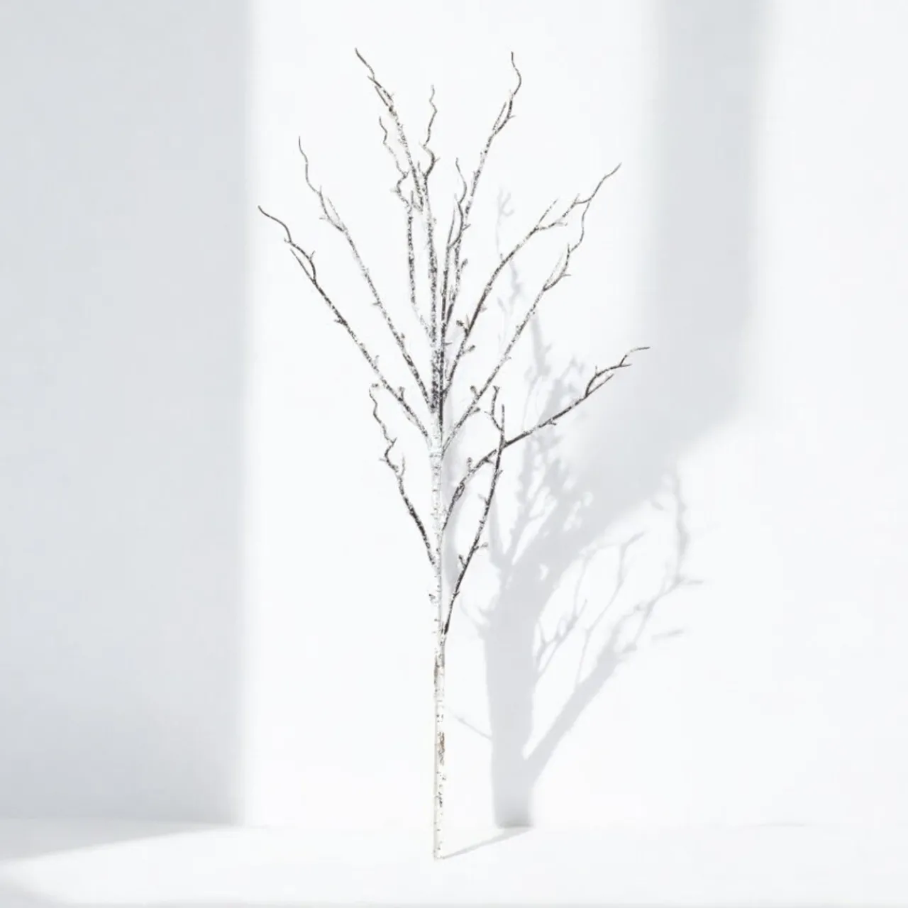 Snowy Birch Branch< Fashion