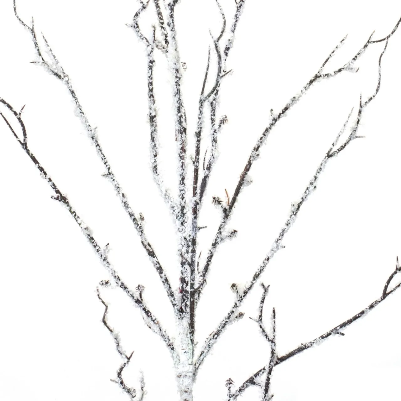 Snowy Birch Branch< Fashion