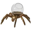 Spider Terrarium< New