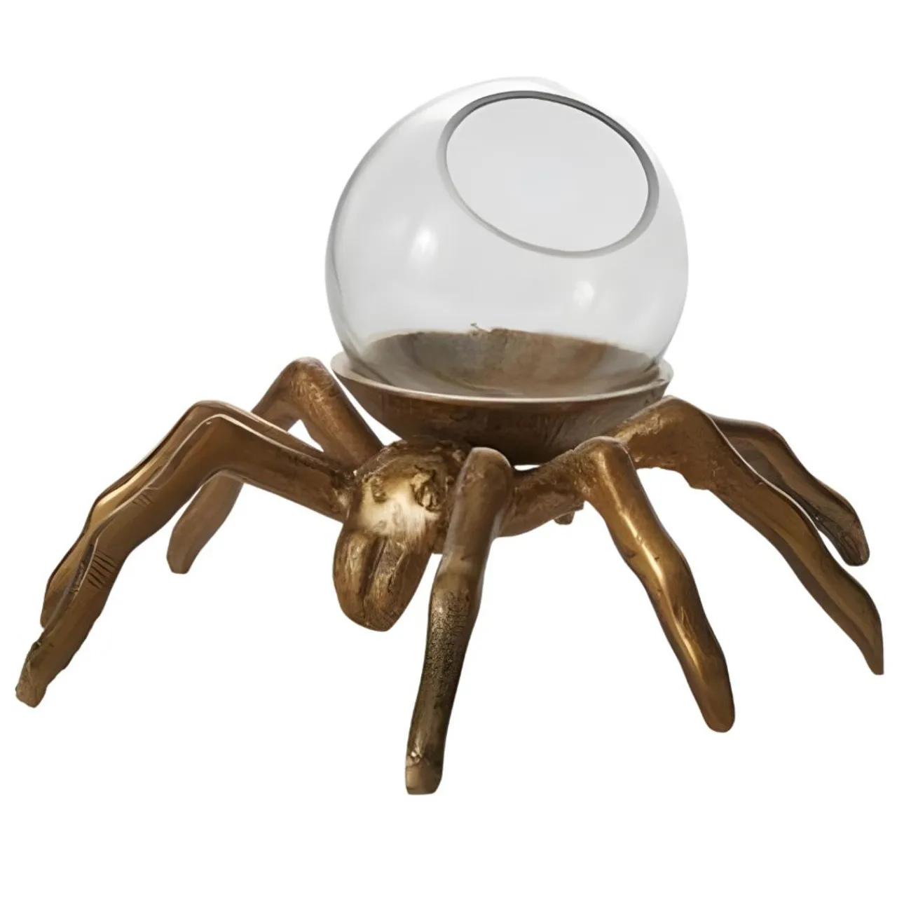 Spider Terrarium< New