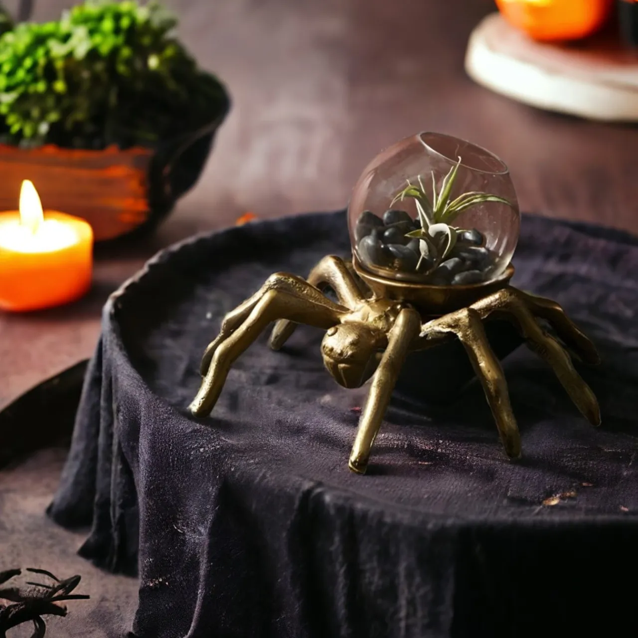 Spider Terrarium< New