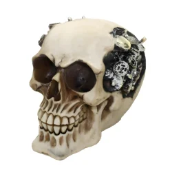 Steampunk Skull Figurine< Best