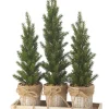 Triple Potted Pine Seedling Tray< Sale
