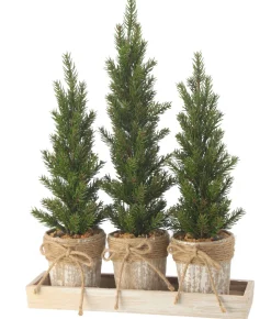Triple Potted Pine Seedling Tray< Sale