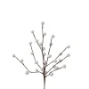 White Berries Pick< Hot