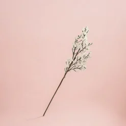 White Berry Spray< Fashion